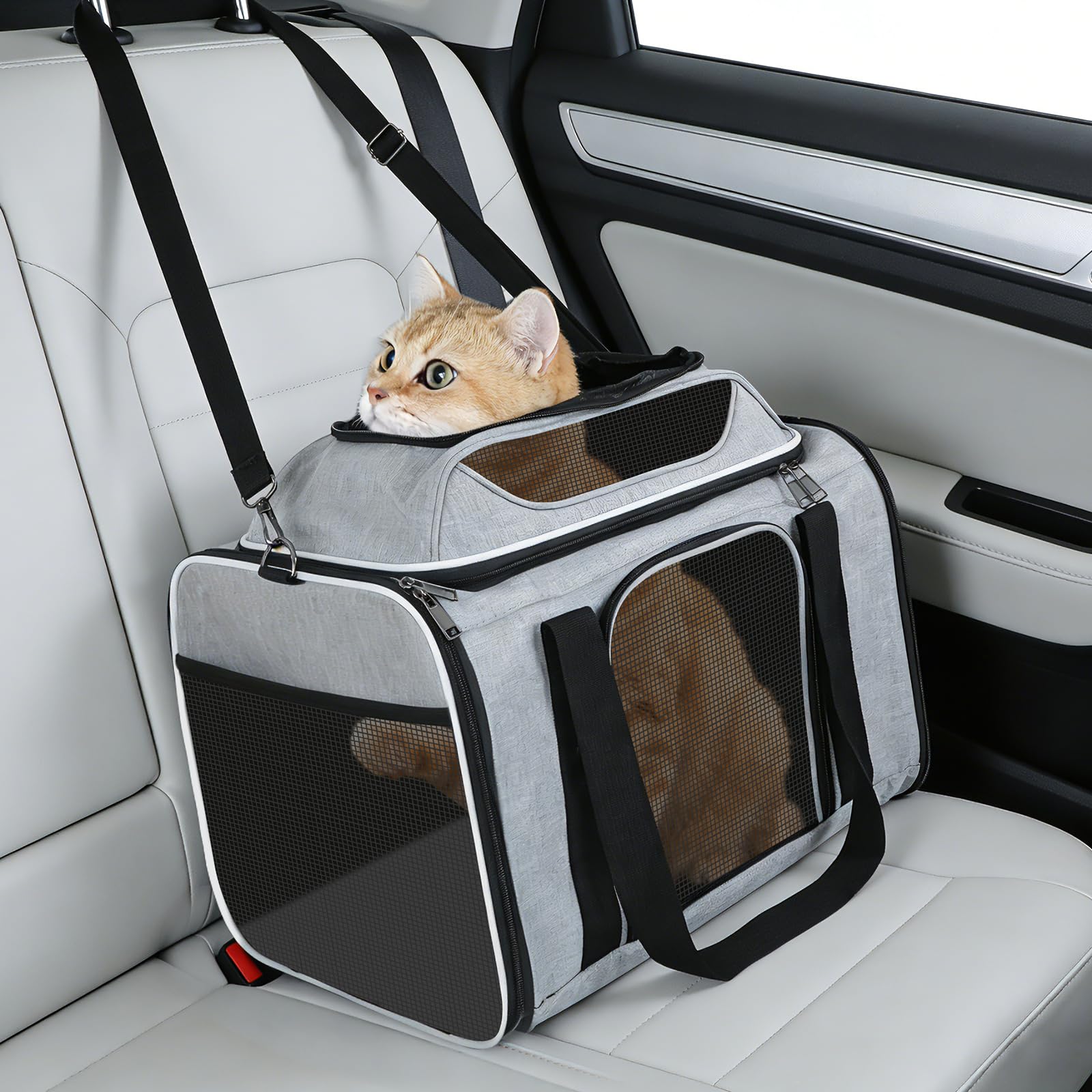 Transportbox Katzen,Faltbare Katzen Transporttasche,für Katze und Welpen bis 8 kg,Atmungsaktiv Katzen transportboxen,mit Sicherheit Reißverschlüsse,für ob Reise,Oder Tierarzttermin (Grau)