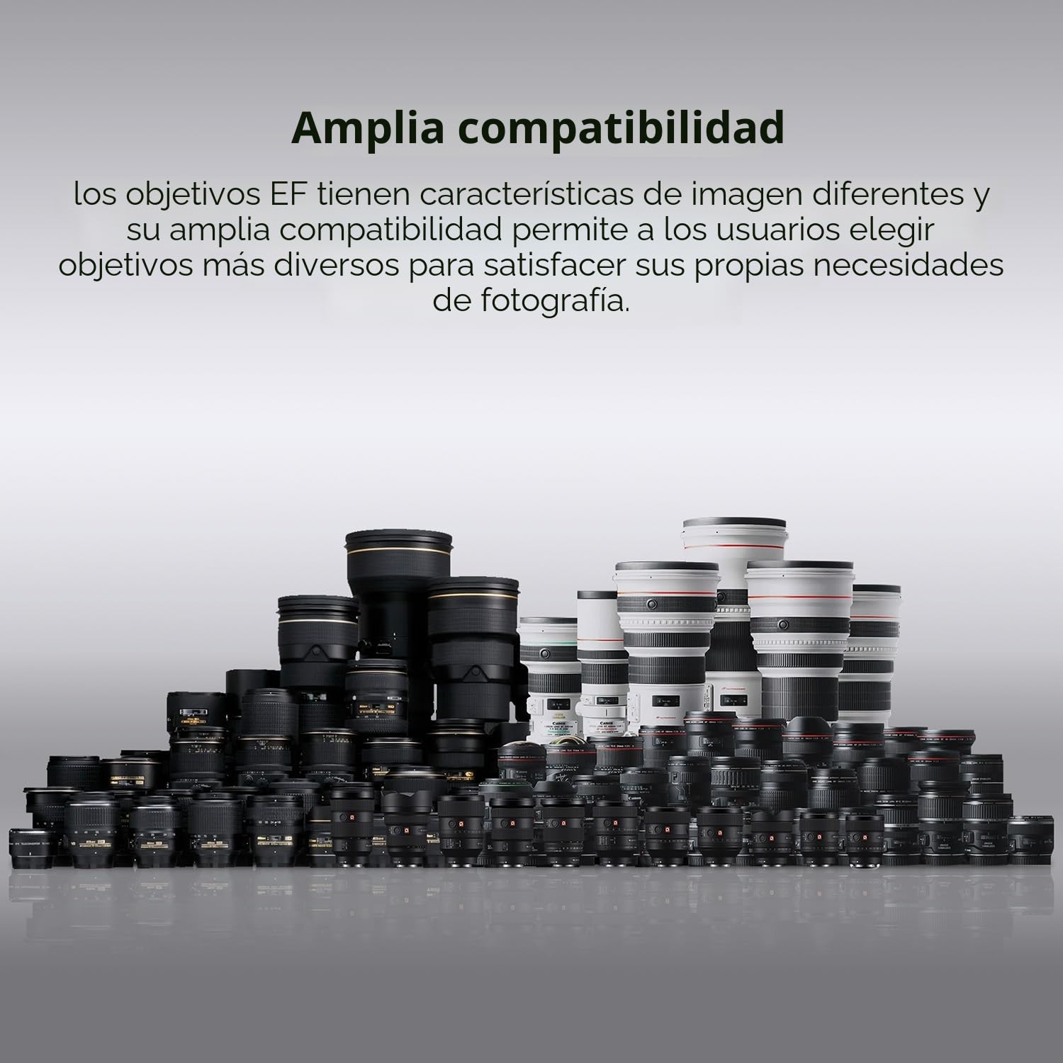 K&F CONCEPT Canon Auto EF/EF-S a EOS R - Adaptador de Metal con Enfoque Automático (Incluye Funda Protectora)