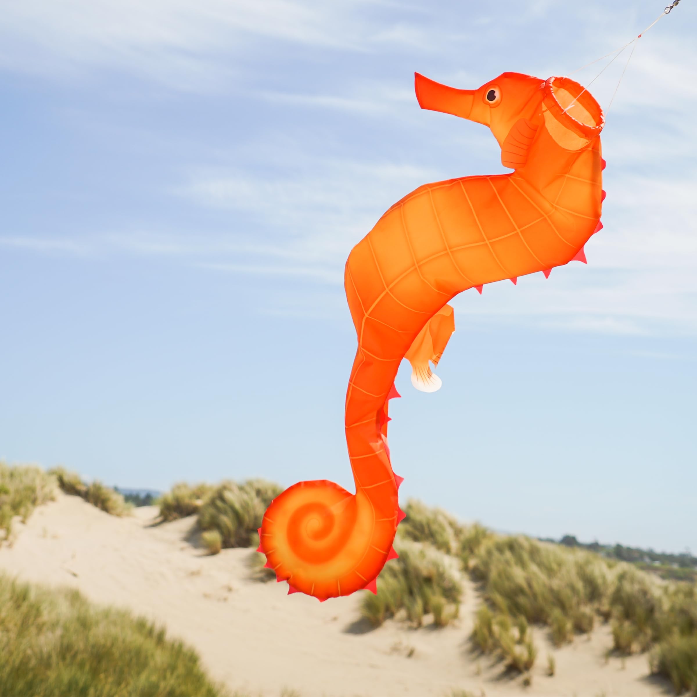 In the Breeze 13,225.8 cm Seepferdchen 3D Windsack - Realistischer Sea Life Windsack für Häuser, Gärten, Klassenzimmer mit hell gedruckten Grafiken