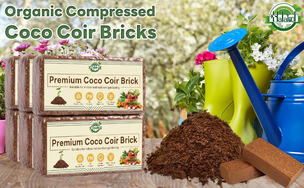 Amazon.com : Halatool Organic Coco Coir Brick, 1 Pack Compressed