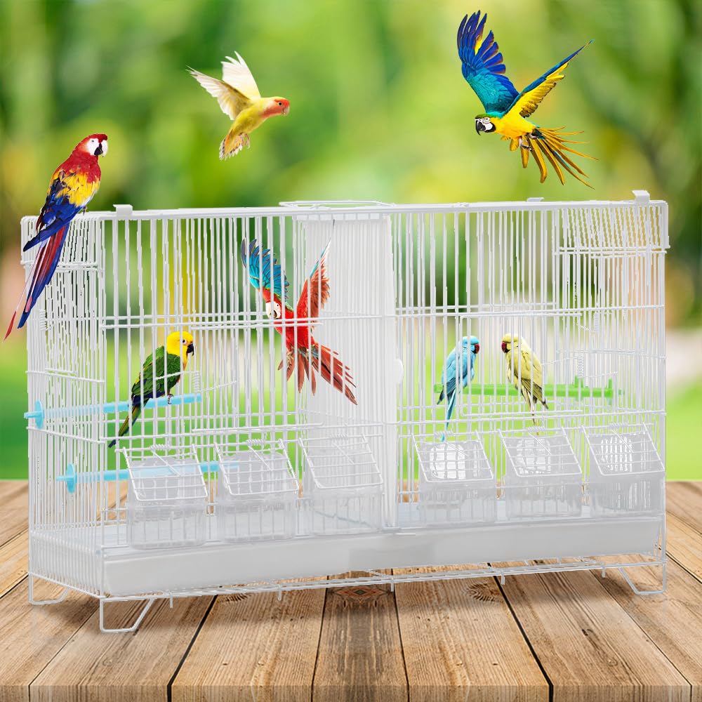 Vogelkooi met centrale scheidingswand, lade lade kooi voor