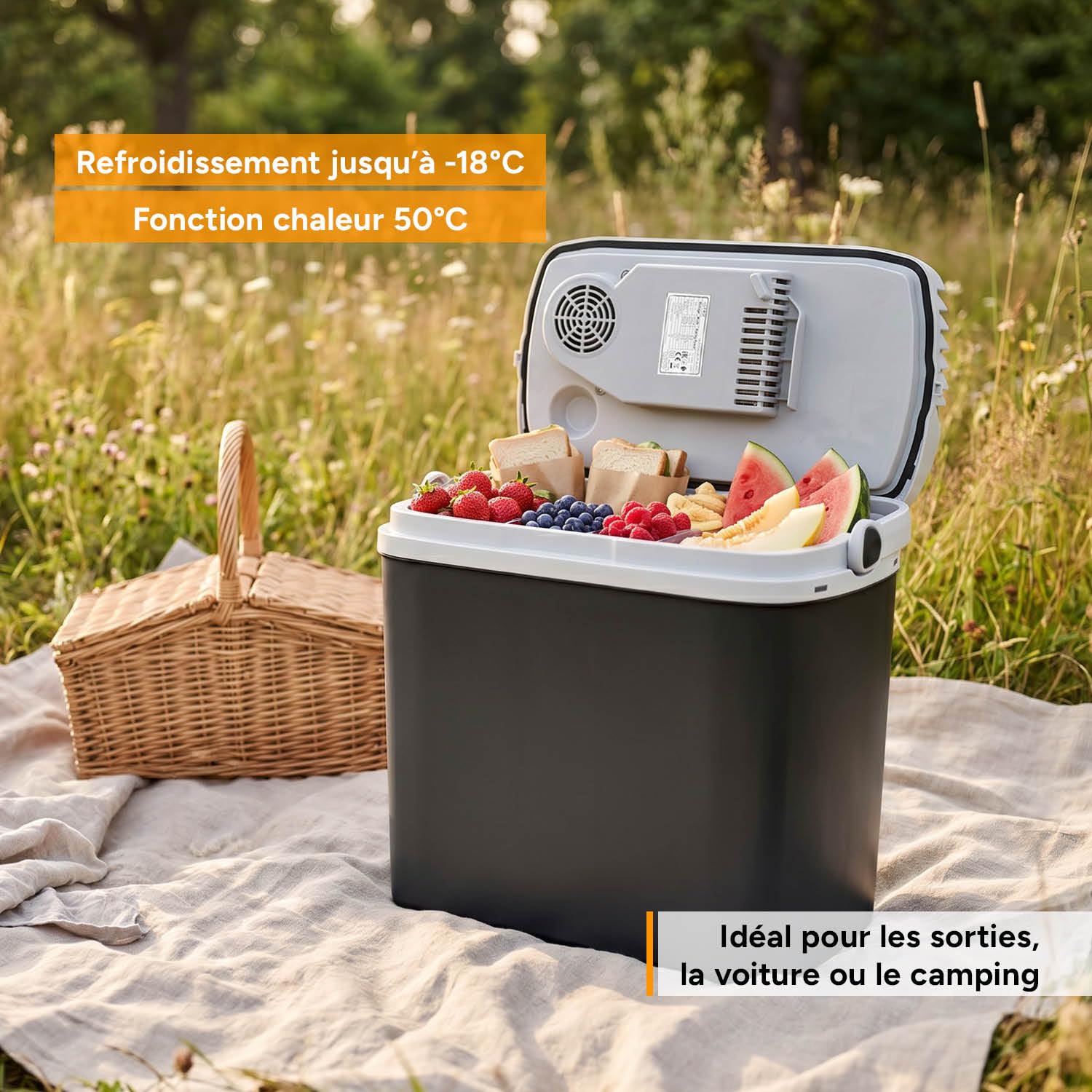 TZS First Austria - Glacière Électrique 20L - Triple Alimentation avec USB-C PD 3.0 - Refroidissement & Chauffage - 12V/230V/USB-C - Design Portable - Noir/Gris