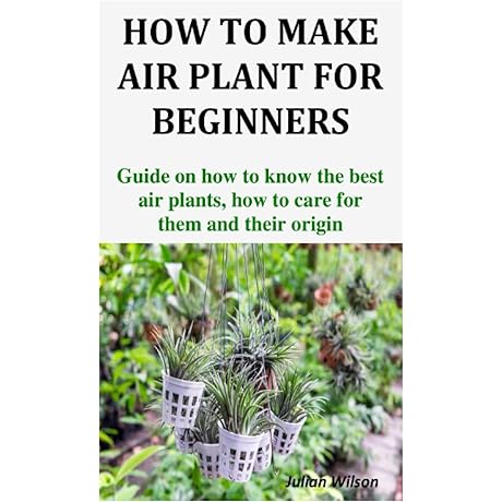 Wild Creations Hilton Carter: Your Guide to Air Plants