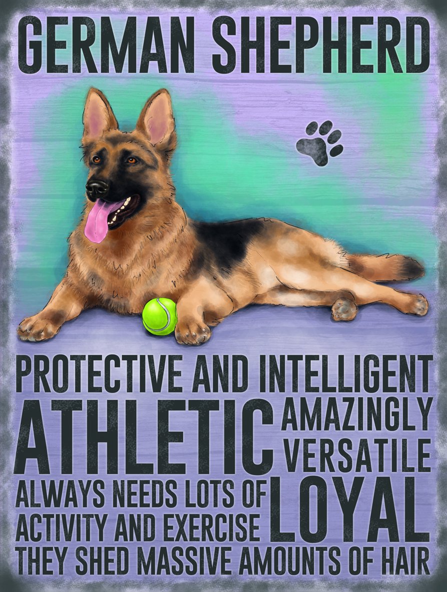 Fridge Magnet - German Shepherd Dog