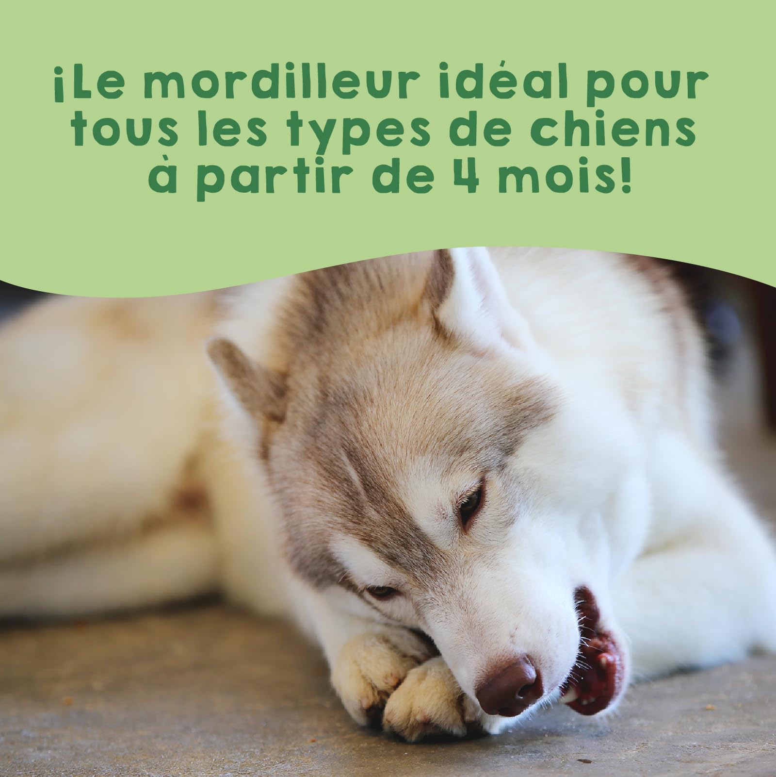 Fromage de Yak pour Chien Mastication Naturel Macher Longue Durée Soin Dentaire Recette Himalaya pour Chiens Pesant Entre 10 et 15 kg - Pack 3 Taille M