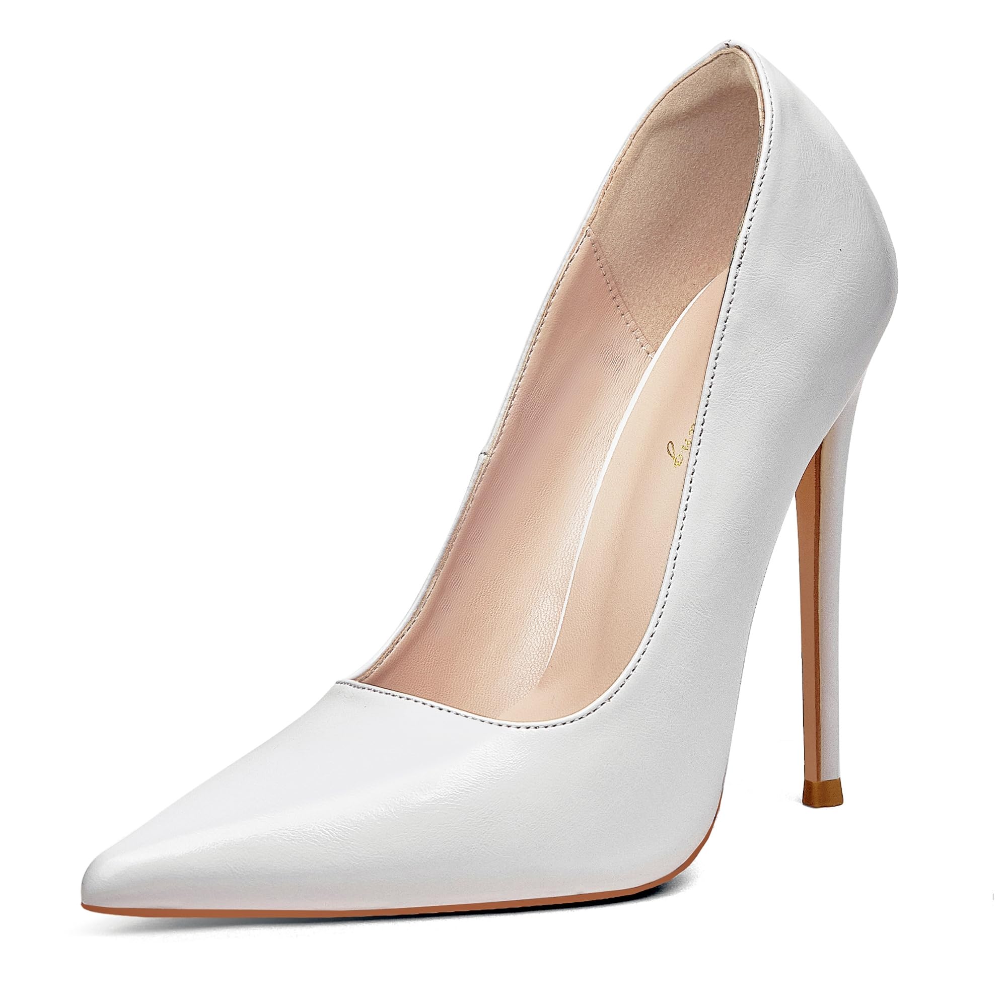 Elisabet Tang Women Pumps, Pointed Toe High Heel 4.7 inch/12cm Party Stiletto Heels Shoes Matte