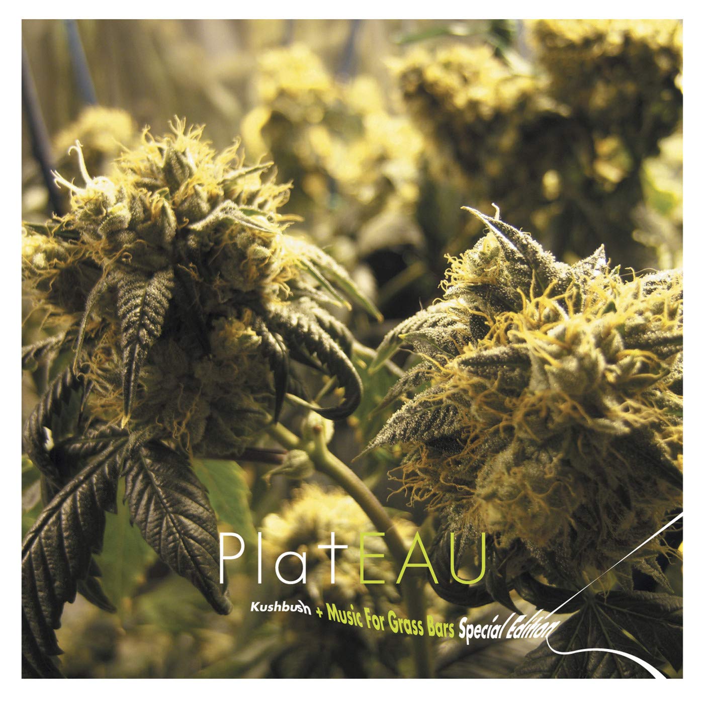 Kushbush/Music For Grass Bars Special Edition