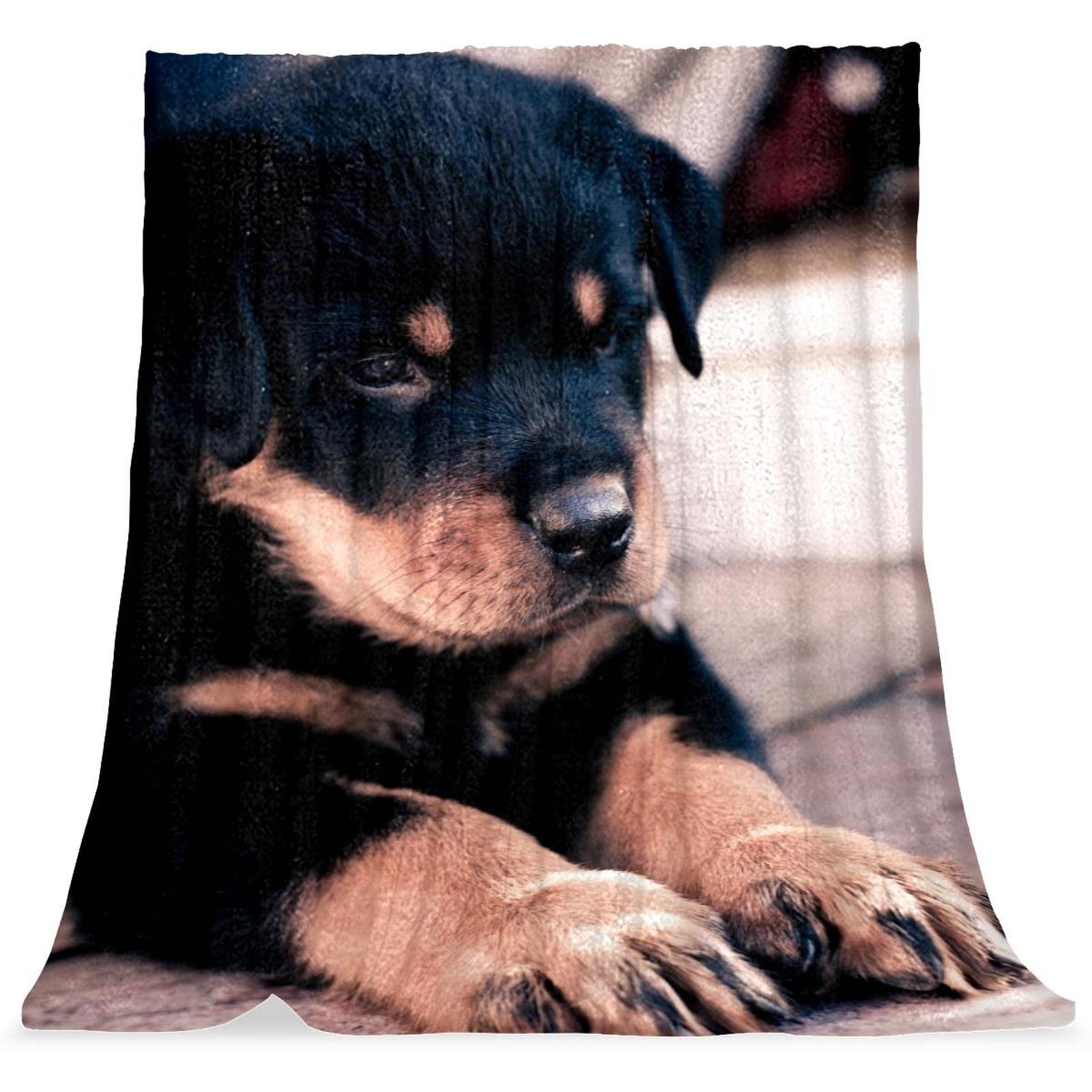 Couverture en peluche anti froid plaid microfibre doux imprimé chiot noir lit