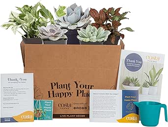 Costa Farms Live Indoor Plants Monthly Subscription Box - Easy Care Clean Air Houseplants, Succulents, Cacti Mix - For Plant Lovers or Gift