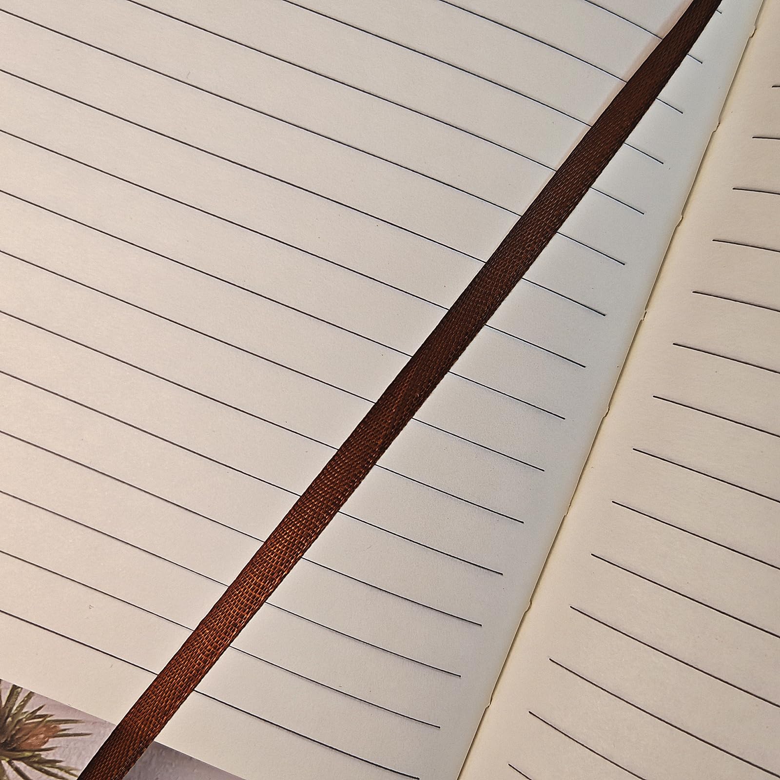 View 5