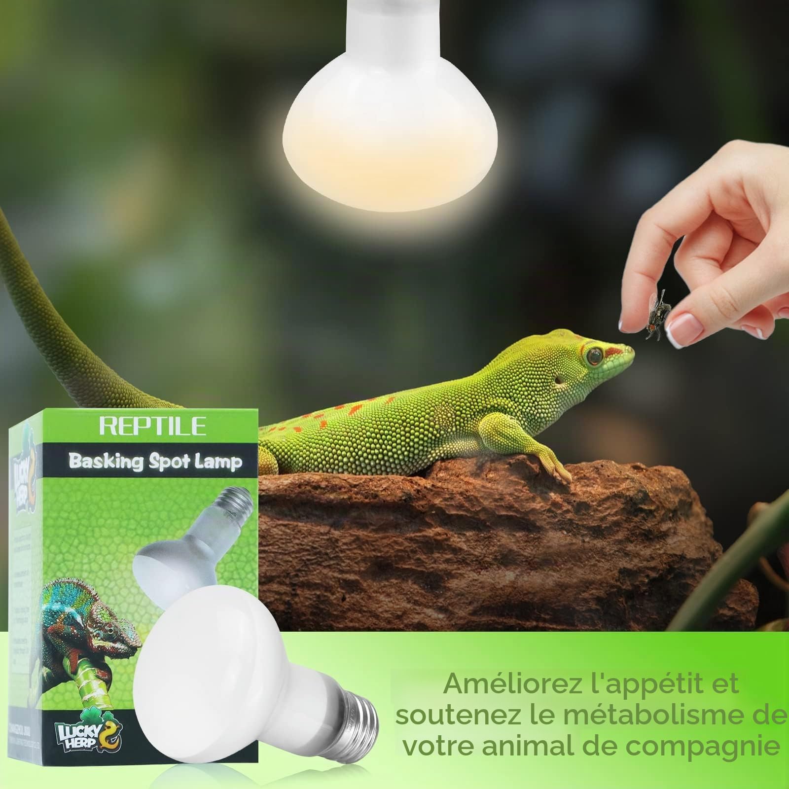 LUCKY HERP Lot de 2 lampes chauffantes pour terrarium 100 W - Pour reptiles - Lampe solaire amphibienne - Pour tortues, rames barbus, lézards