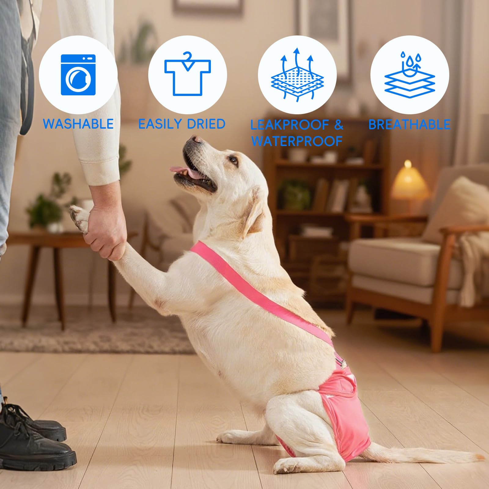 3 Pezzi Pannolini per Cani Cane Femmina Lavabili, Pannolini Cane Femmina Regolabile e Cinghie, Mutande Igieniche Animali Lavabili, Riutilizzabili, Altamente Assorbenti (XL)