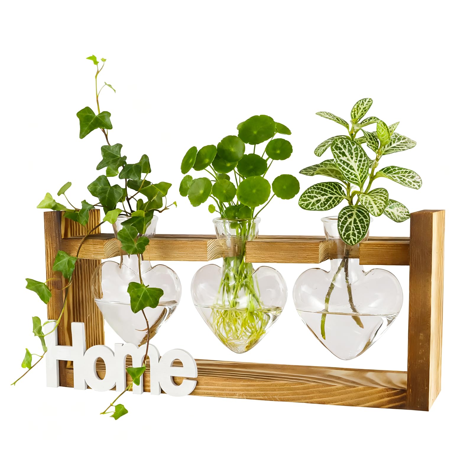 IBEUQEM Plant Propagation Station, 3 Glass Terrarium for Plants with Wooden Stand, Vases Terrarium, Plant Starter, Gifts for Plant Lovers, Hydroponics Home Garden Decoration