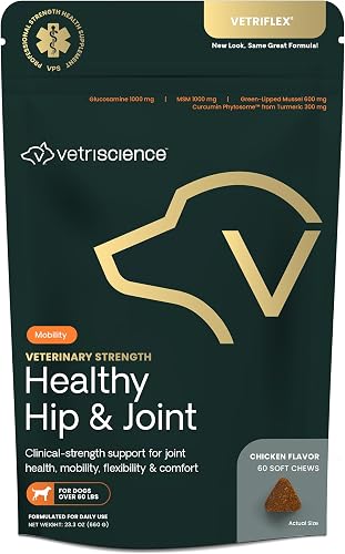 VETRISCIENCE Veterinary Strength Healthy Hip & Joint Chews - Joint Health Supplement for Dogs Over 60 Pounds - Supports Mobility & Flexibility in Large Dogs - 60 Count