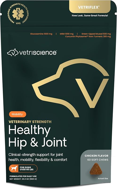 VETRISCIENCE Veterinary Strength Healthy Hip & Joint Chews, 60 Count | Joint Health Supplement for Dogs Over 60 Pounds, Supports Mobility & Flexibility in Large Dogs
