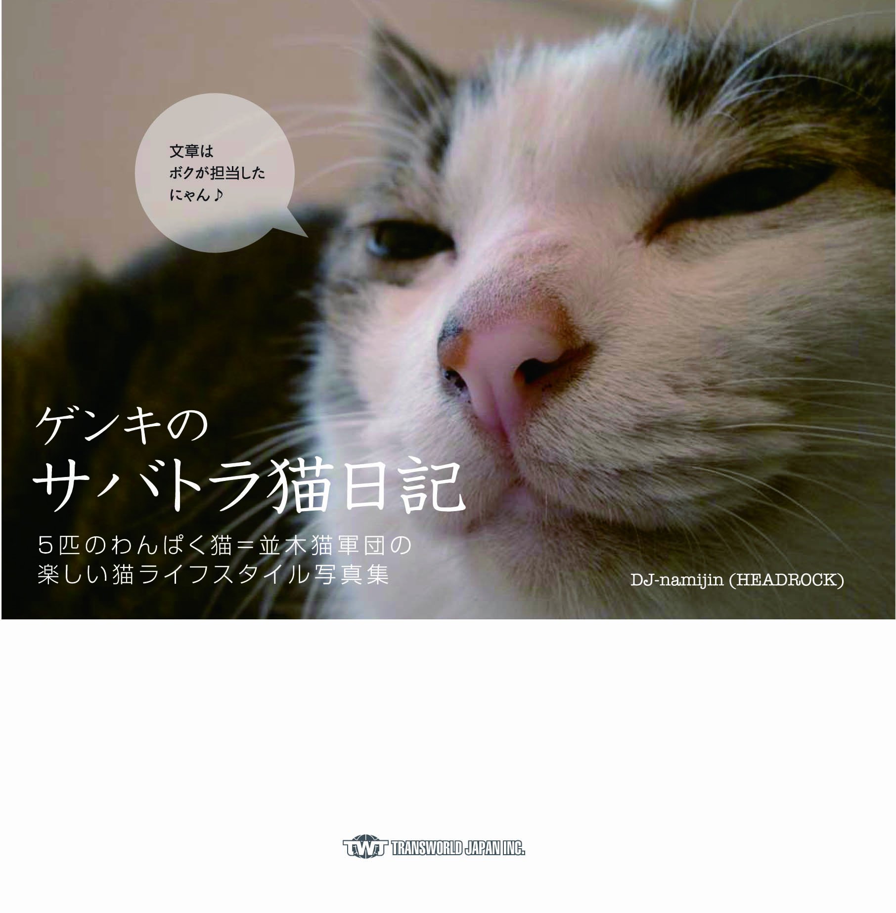 ゲンキのサバトラ猫日記 Dvd付 Dj Namijin Headrock 本 通販 Amazon