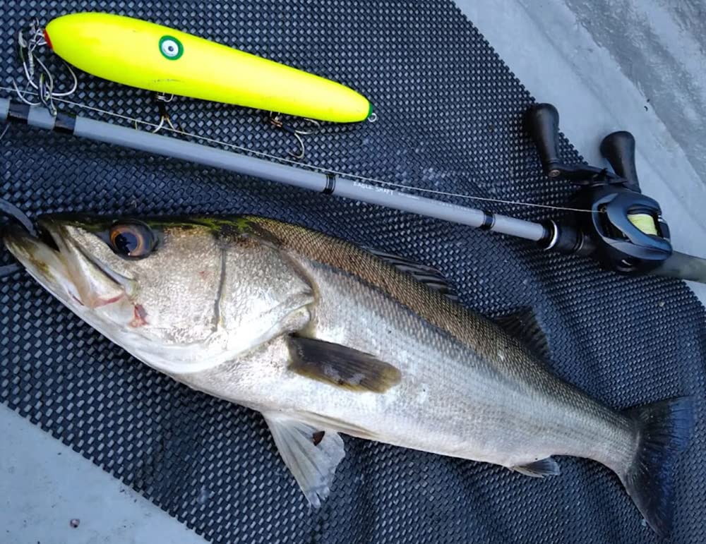 Amazon | エクリプス(Eclipse) イーグルシャフト EAGLE SHAFT ESC