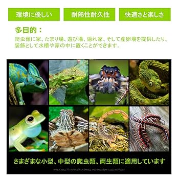 Ｇ38 流木　爬虫類　両生類シェルター　インテリア　観葉植物　ハンドメイド　生花 2/5(水)20：00〜新作シェルター公開します🫧 是非よろしくお願い