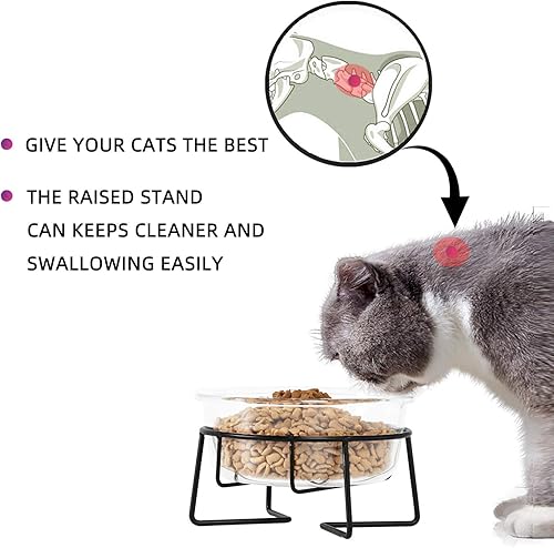 Miniatura 4 de Platos elevados de vidrio para gatos o perros pequeños con soporte de metal, cuencos de agua o comida para mascotas de 20 onzas, transparentes