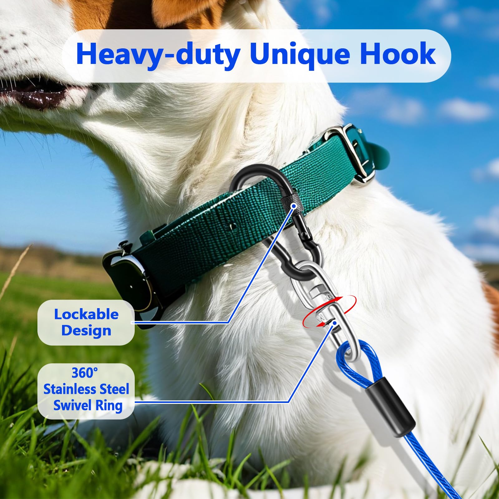 Heavy Duty Dog Tie Out Cable and Stake,30FT Rust Proof Dog Leads Cable for Yard with Swivel Hook,360&deg;Swivel Spiral Dog Stake&Chain Up to 200 lbs,Removable Ground Anchor for Outdoor Beach Camping - image 4