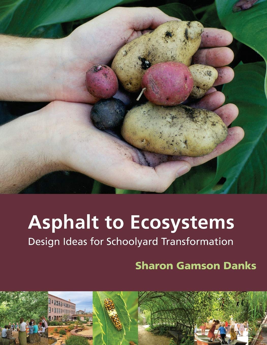 Asphalt to Ecosystems: Design Ideas for Schoolyard Transformation      Paperback – November 1, 2010