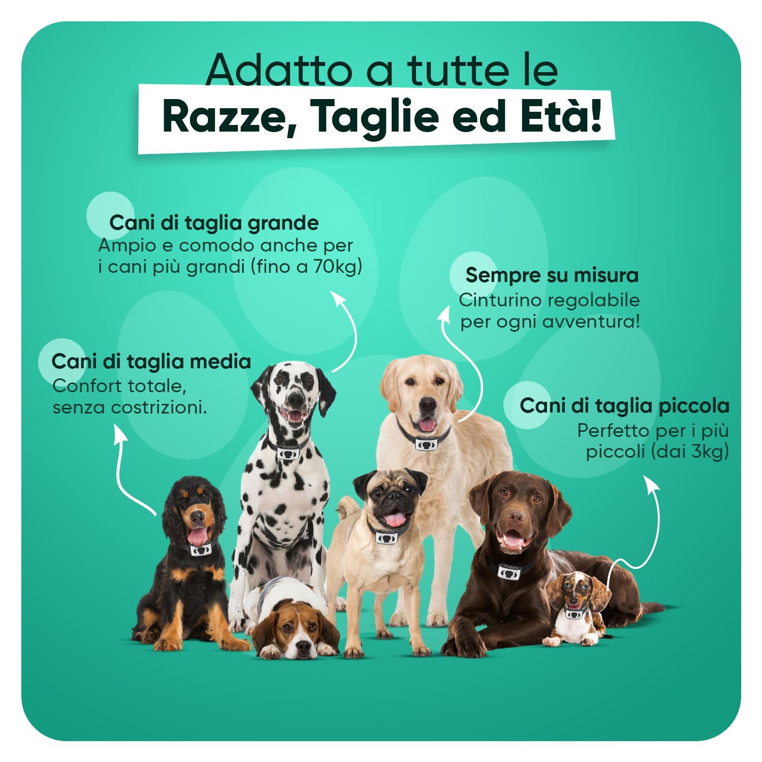 46 Igliori Collari Addestraento Per Cani Nel 2024 (recensioni - Foto 3