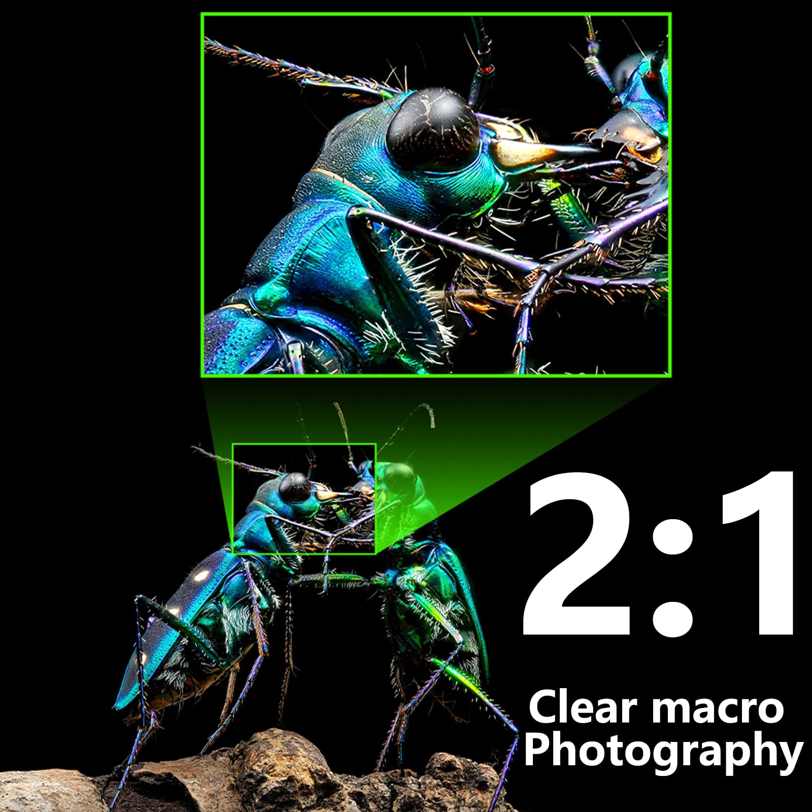 7artisans 60mm F2.8 II Obiettivo per Fotocamera Canon RF Montaggio Macro 2:1 Agnificazione Whole Frame Manuale Focus Wide Angle Obiettivo Professionale - Dettaglio