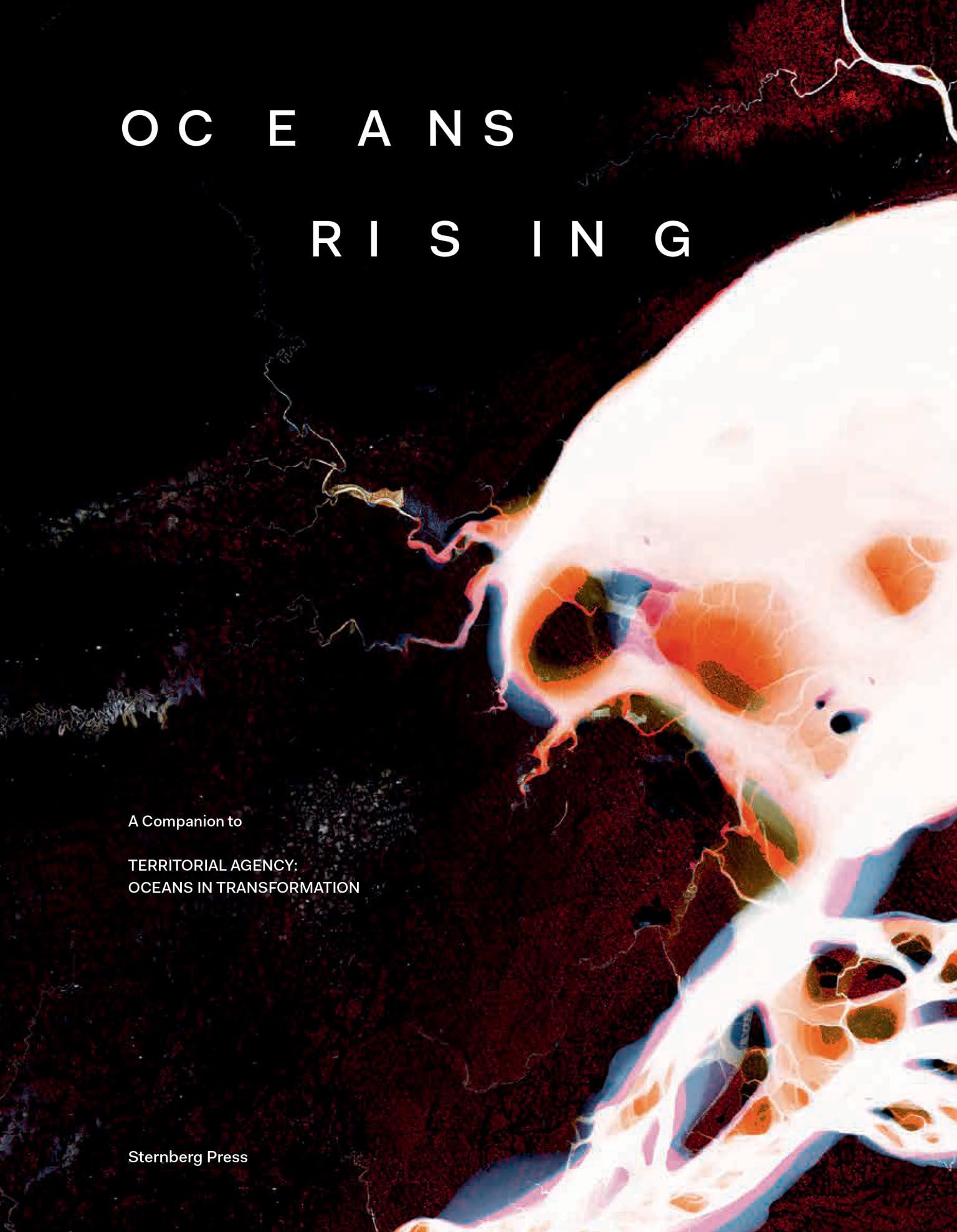 Oceans Rising - A Companion to ""Territorial Age. Sternberg, Zyman, Daniela, **