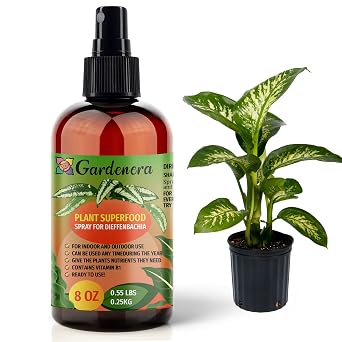 𝐁𝐄𝐒𝐓𝐒𝐄𝐋𝐋𝐄𝐑 Plant Superfood for DIEFFENBACHIA Plants with B1 Vitamin, Glucose