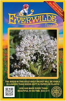 50 New Jersey Tea Native Wildflower Seeds - Gold Vault Seed Packet