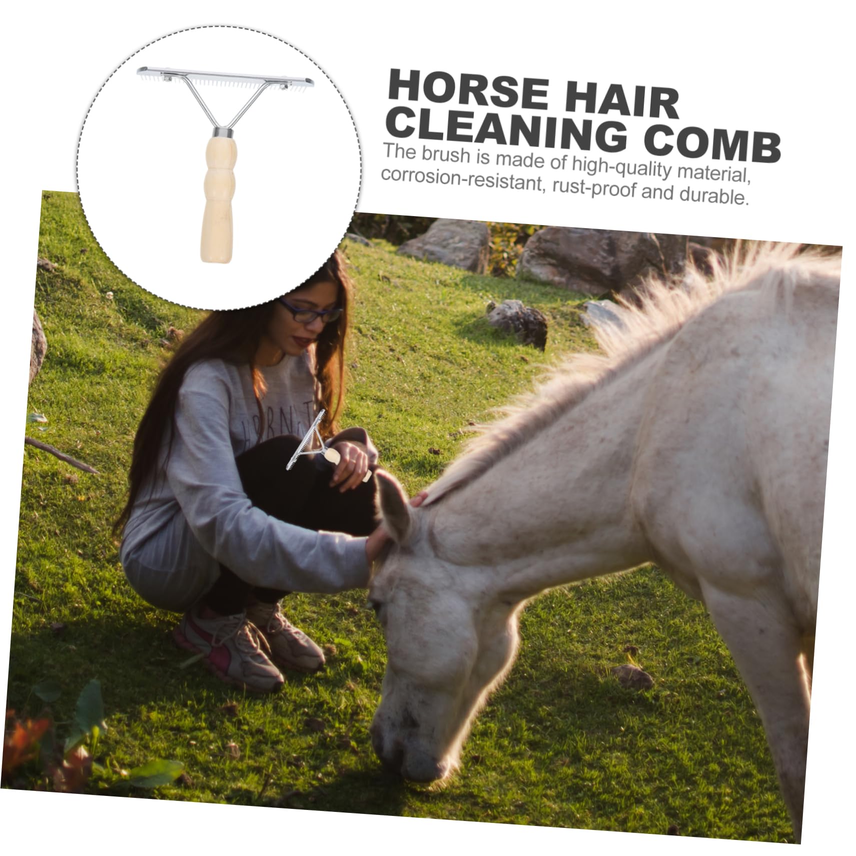 FRCOLOR 4stücke Horse Brush Mit Ergonomischem Holzgriff Nützliche Pferdebürste Für Fellpflege Und Von Zubehör Für Tierpflege