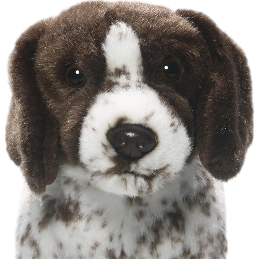 ぬいぐるみ　犬　いぬ　セッター犬　猟犬❣️ ぬいぐるみ 犬 いぬ セッター犬 猟犬❣️