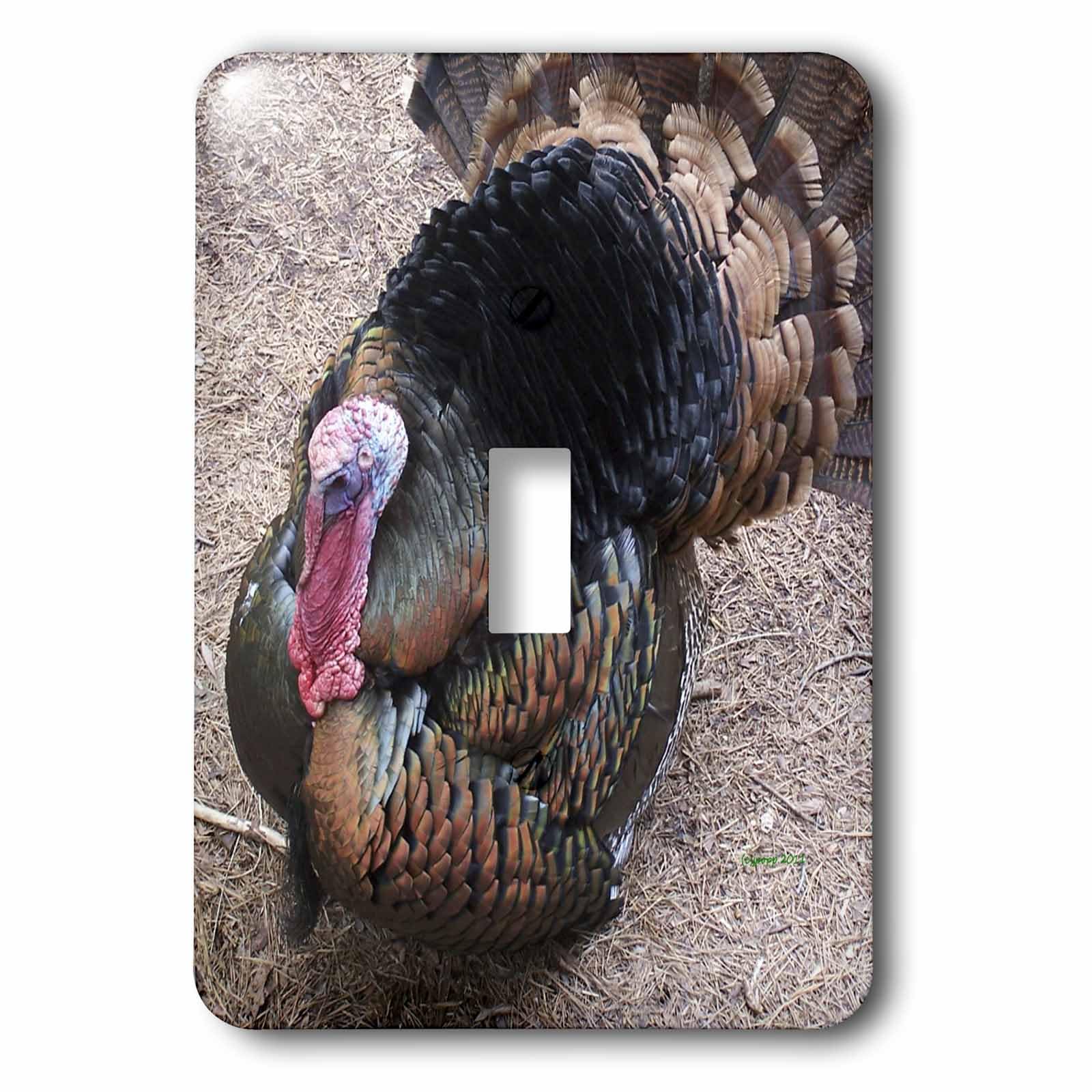 Plaque interrupteur à bascule unique Wild Turkey 3dRose