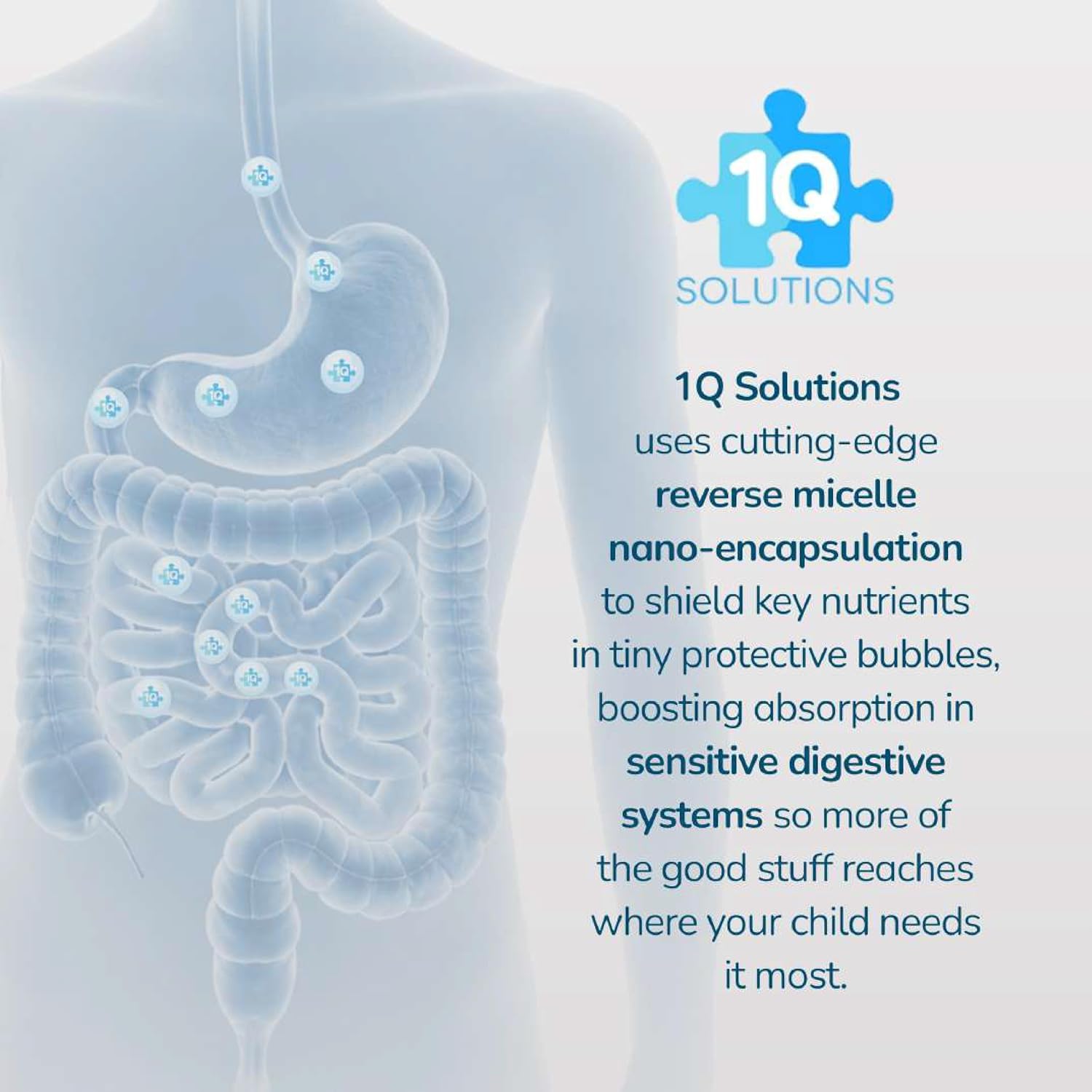 1Q Focus – Liquid Cognitive & Brain Support Natural Drops for Kids | Acetyl L-Carnitine + B1, B6, B12 & Folate | Sugar-Free, Vegan, Non-GMO, Gluten-Free | Advanced Absorption | 2 fl oz 30 Servings