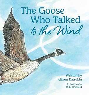 The Goose Who Talked to the Wind: A classic children's story book about discovering purpose & bravery