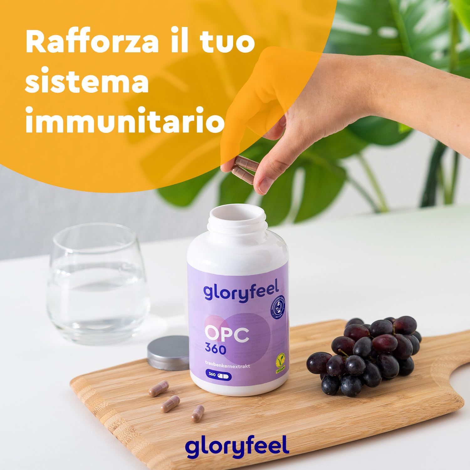 Integratore OPC, Estratto di semi d'uva con Vitamina C, 360 Capsule Vegan, 631mg di OPC puro da Uve Francesi, Antiossidante per Circolazione, Proantocianidina Oligomerica