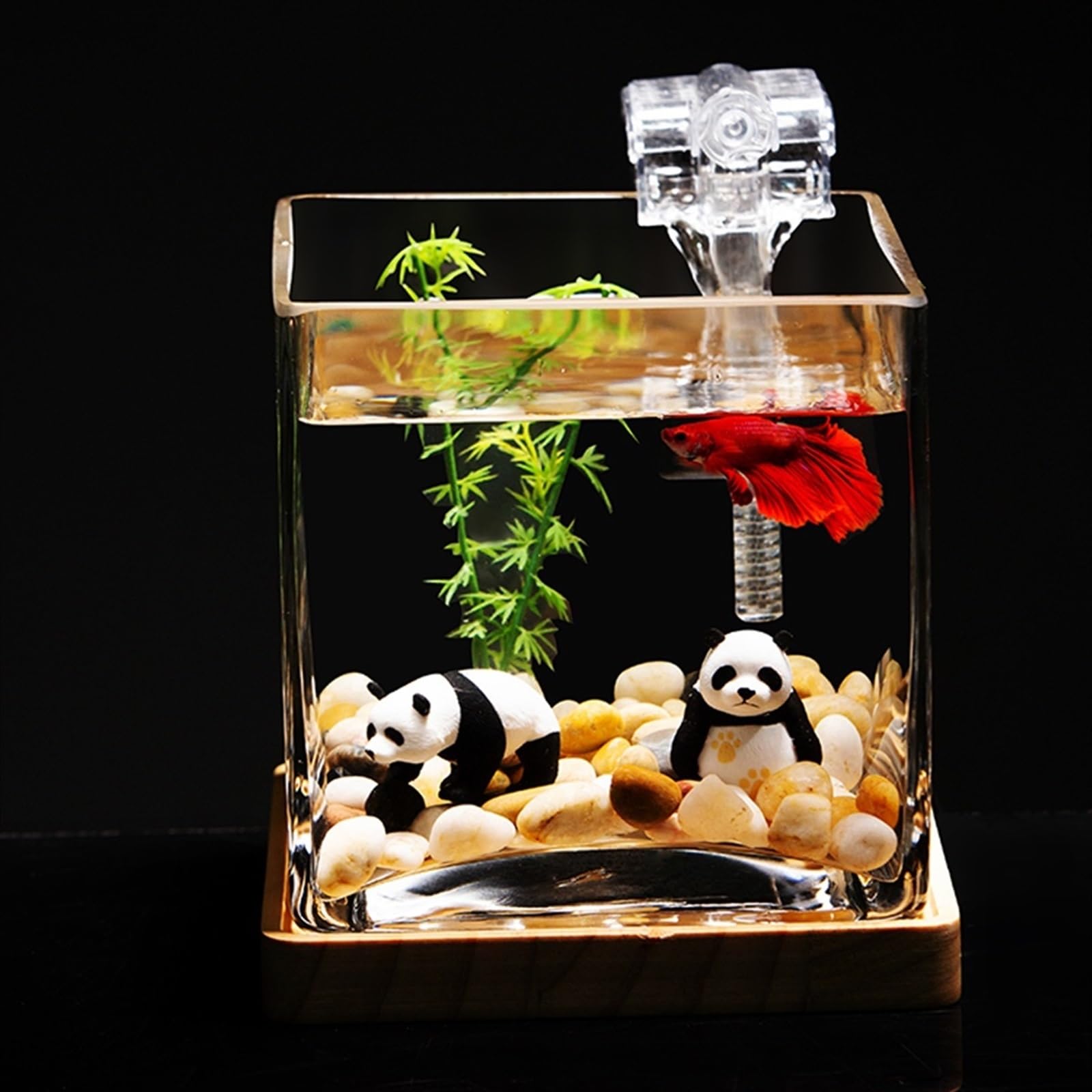 Süßwasserfische Quadratisches verdicktes Glas-Aquarium-Wohnzimmer-Desktop-Mini-Aquarium