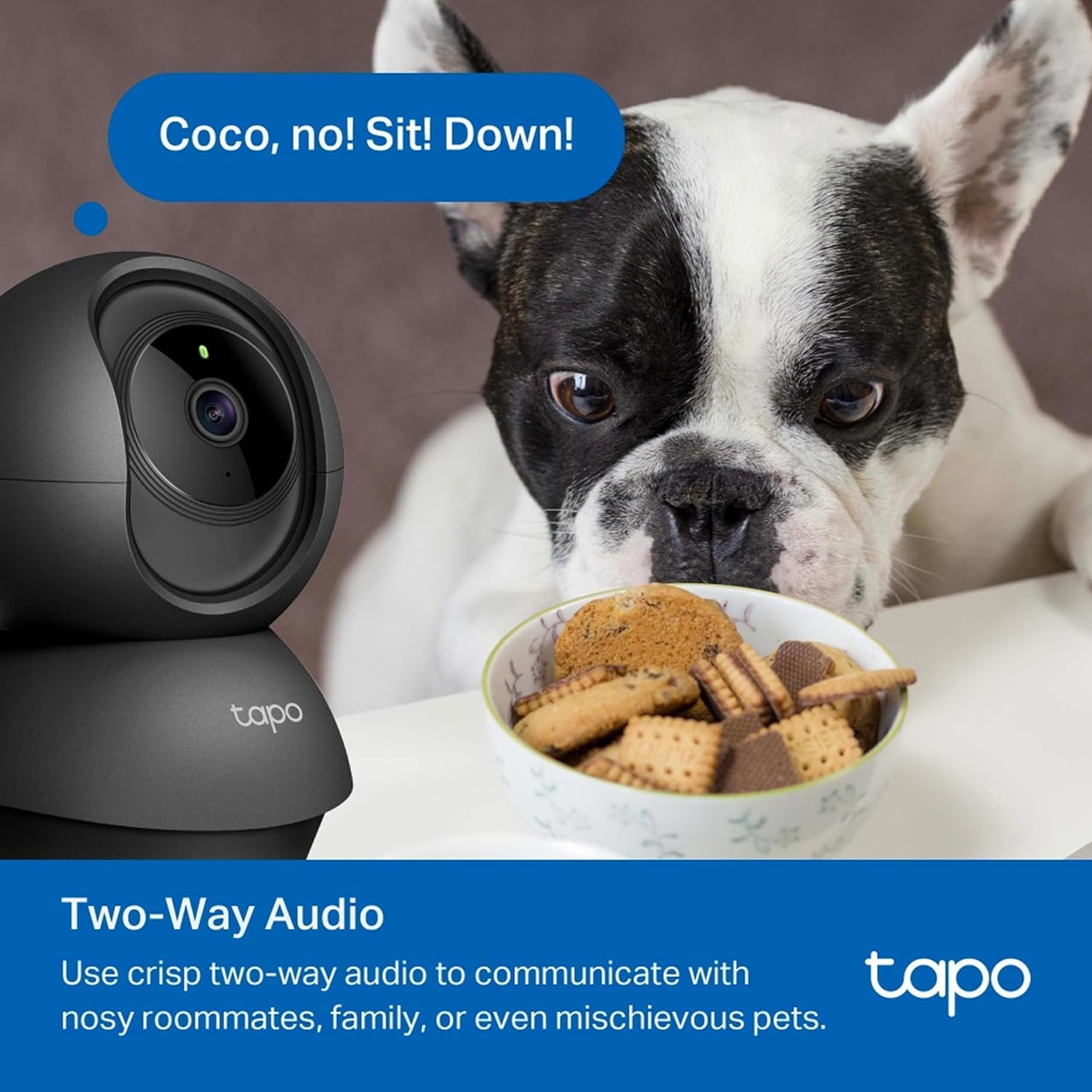 Tapo C201 Two-Way Audio Feature