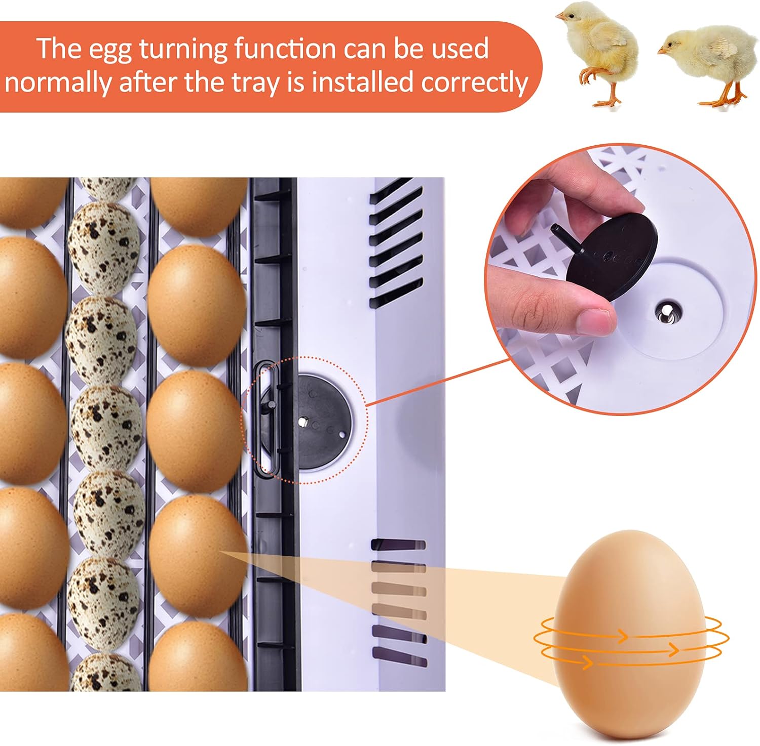 Automatic egg turning mechanism