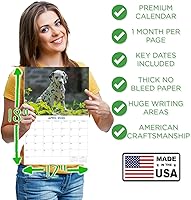 Vista 429 de Razas de Perros 2017