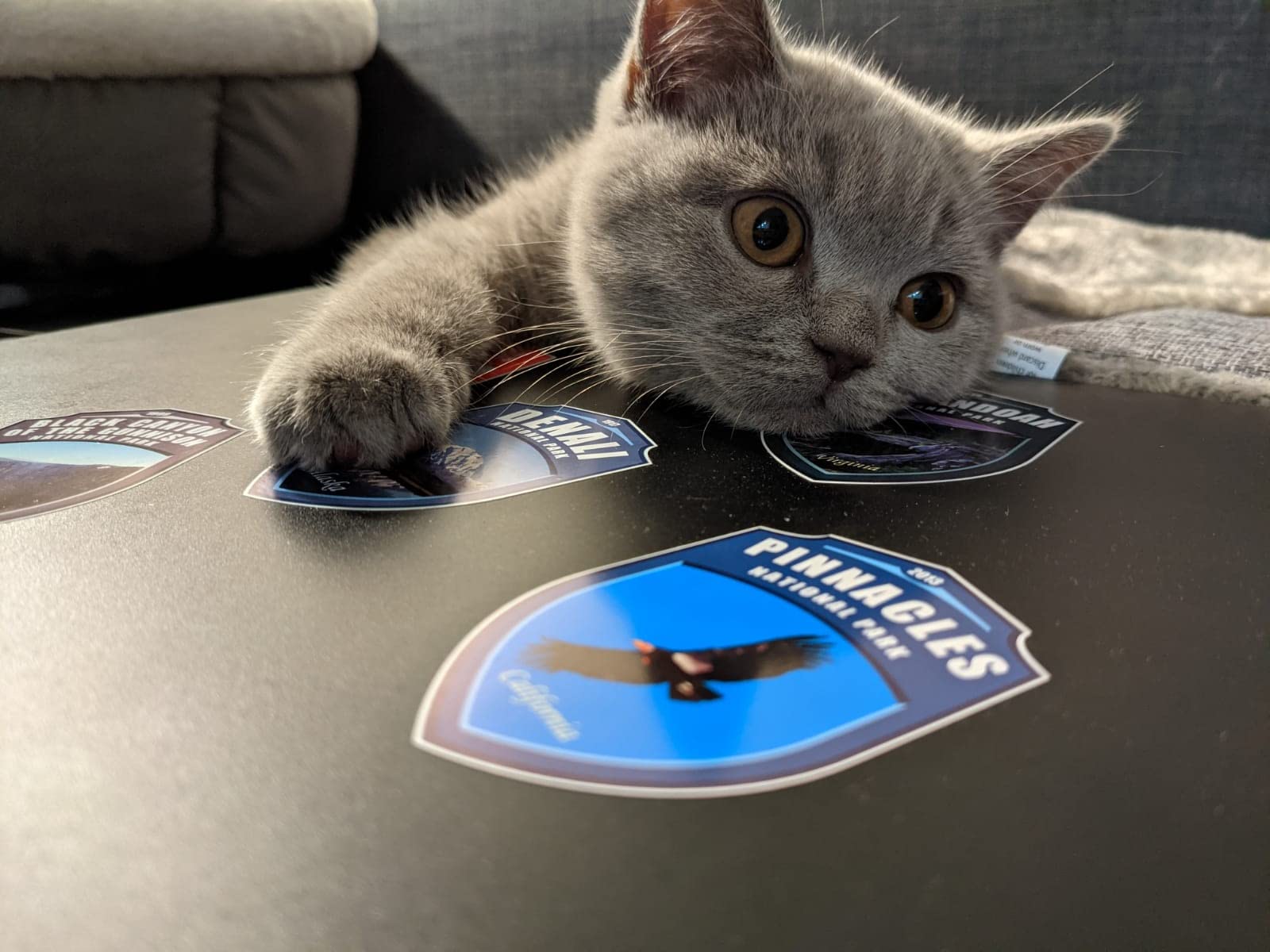 1.7 x 2.5 Shields Collection Stickers Set 63 National Parks USA. Map of US National Parks.