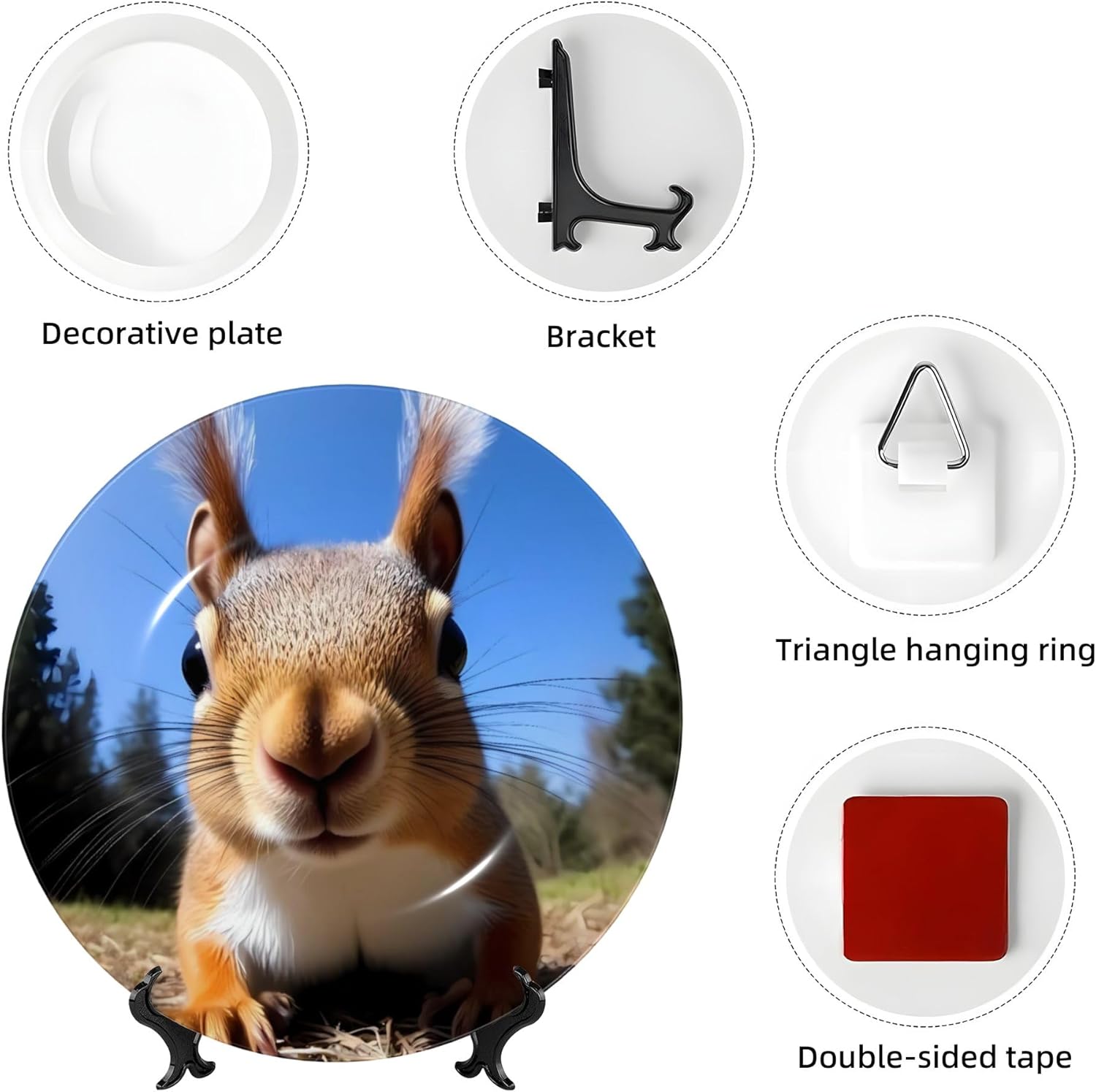 Decorative Plate Ceramic Plate for Wall Hanging 10in Accent Plate for Office Living Room Hallway Table Decor - Close-Up Curious Squirrel