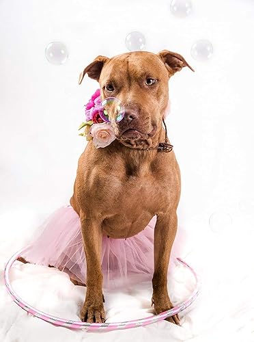 Vista 4 de Dancina Tutus clásicos para niña Disfraz, falda de tul a partir de 2-7 añosy niñas grandes de 8-13 años