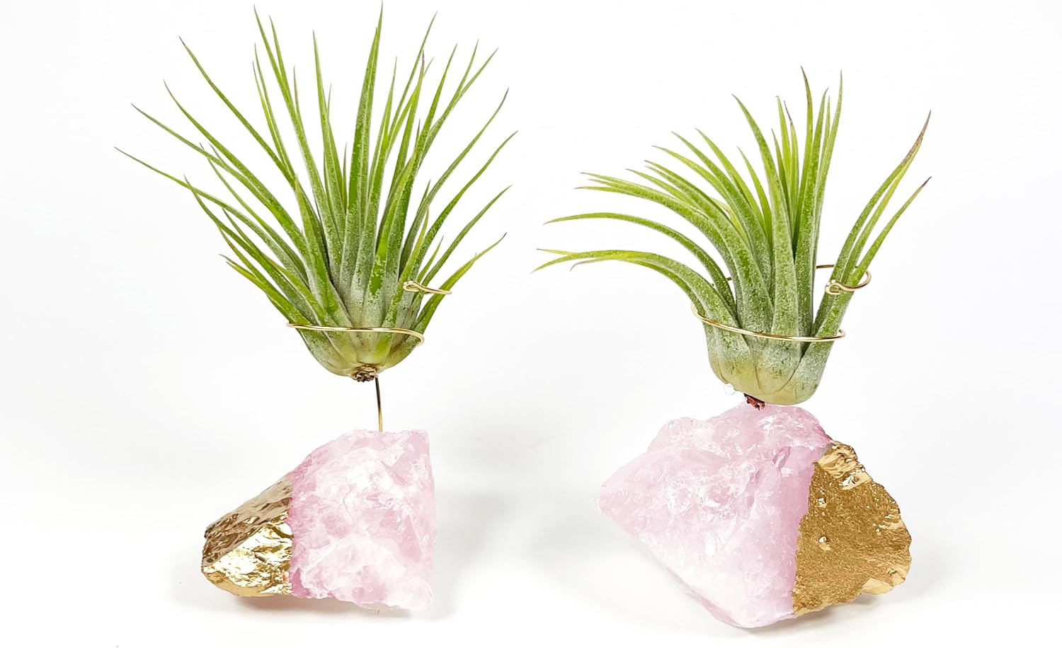 Gold Dipped Small Amethyst and Rose Quartz Crystal Air Plant Holders Set of 3 with Air Plants and You're a Gem Gift Box - Unique Thank You Gift, Appreciation Gift, Gratitude Gift