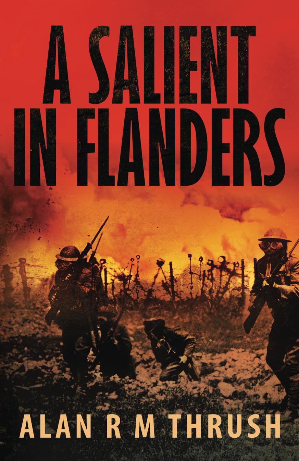 A Salient in Flanders
