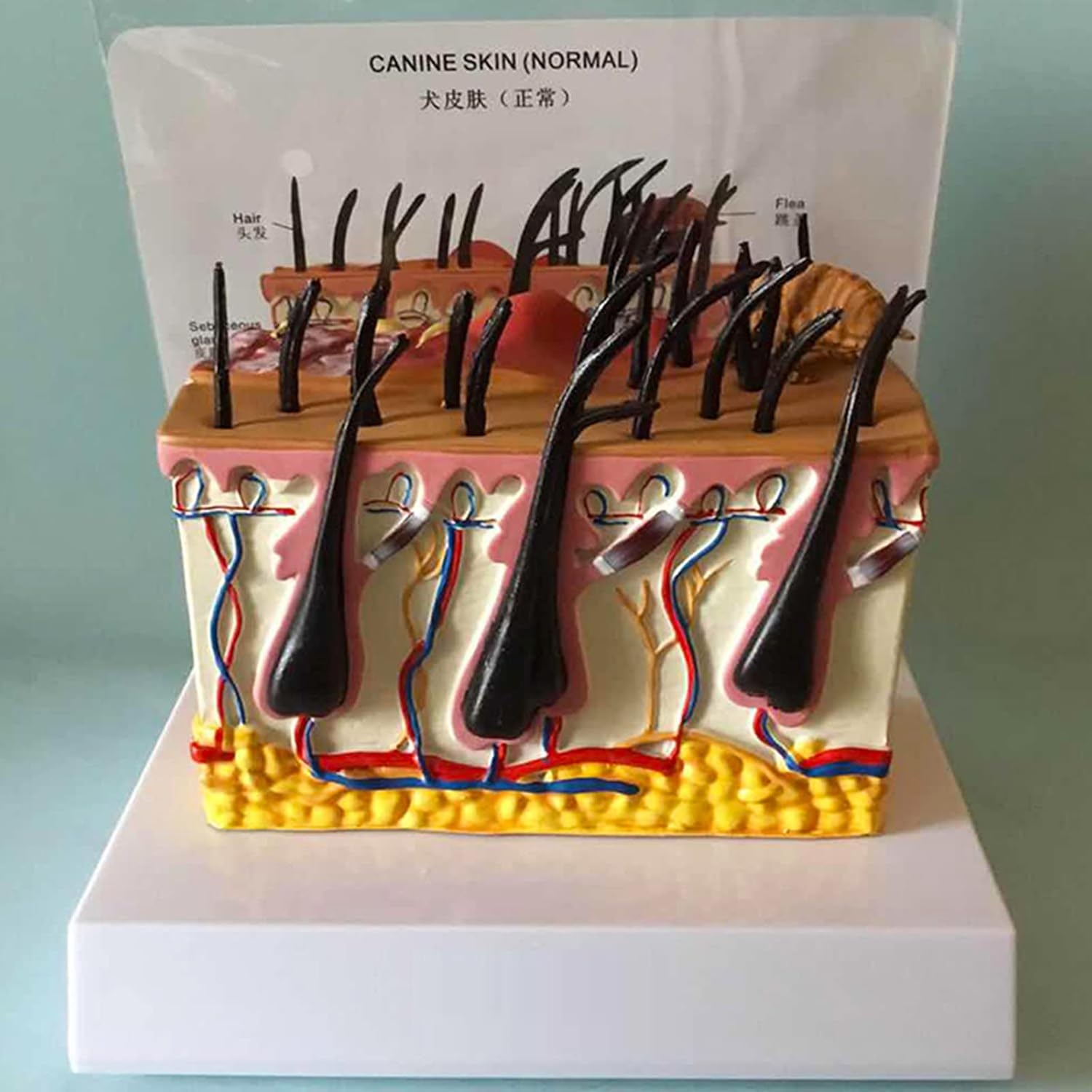 ジャンボスイカ☆様専用 】FW-3614L(w) 石油ファンヒーター ダイニチ