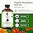 SVA Macadamia Seed Oil Organic - 4 Fl Oz - 100% Natural Cold Pressed Organic Macadamia Oil - for Face, Skin Care, Hair Care, Scalp Massage & Body Massage - Carrier Oil with Dropper