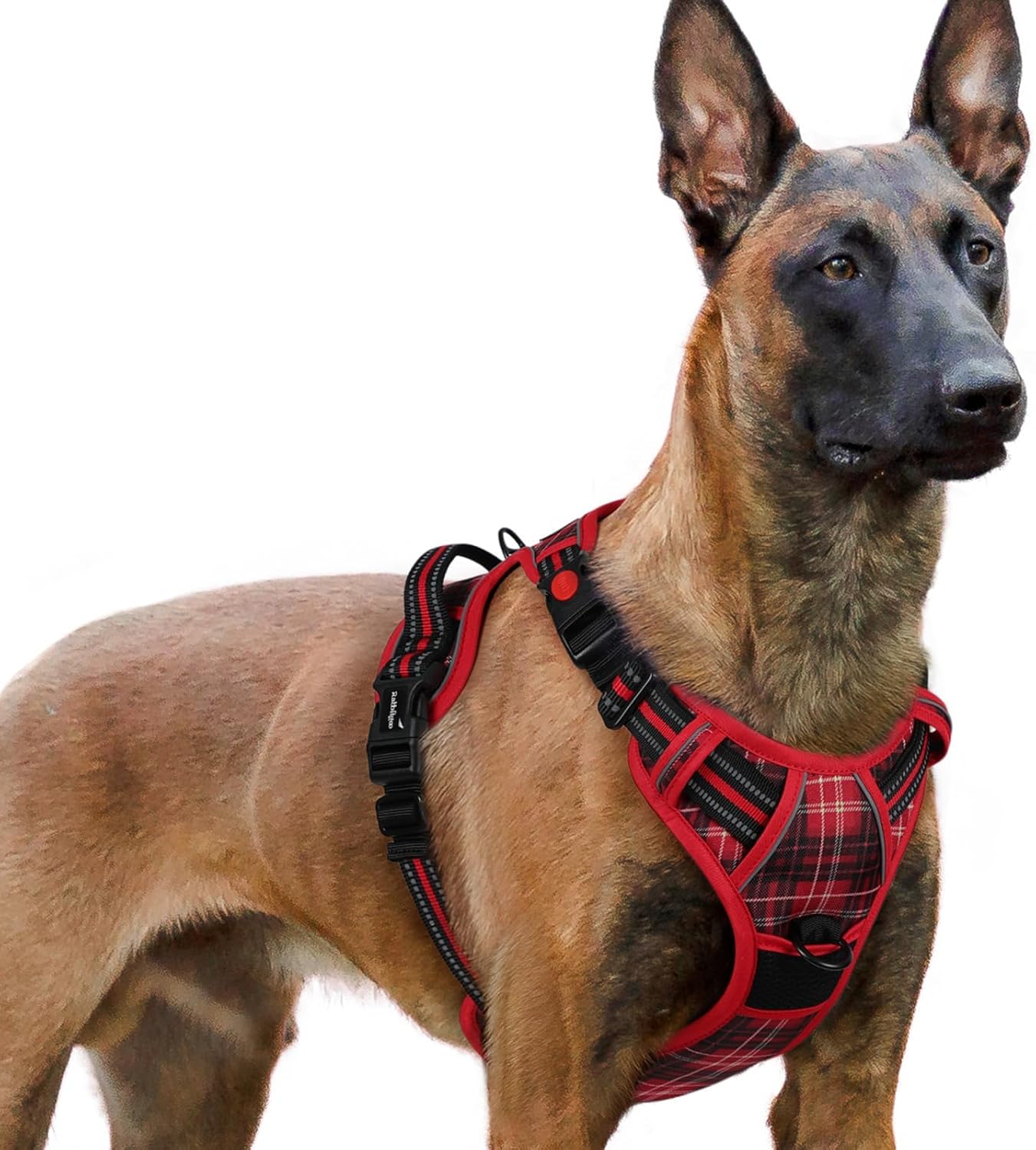 rabbitgoo Dog Harness for Large, Updated Easy On & Off with 3 Buckles