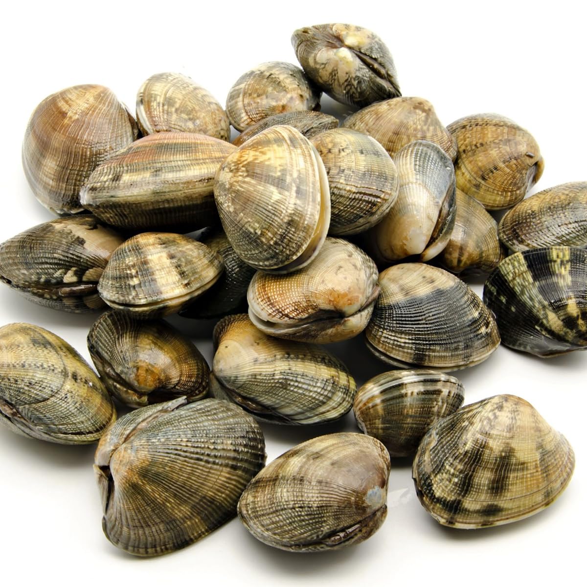 Gamba Blanca de Huelva - Pescadería Premium - 1 kg -Pescado y Marisco Fresco de Lonja (1 kg, Gamba Blanca) - 5