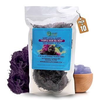 Purple Irish Sea Moss | Wildcrafted from St. Lucia | 160oz Makes 2400+ oz Sea Moss Gel | 100% Natural, Raw & Sun-Dried | Dr. Sebi Inspired, Nutrient-Rich for Health & Wellness Pack of 10